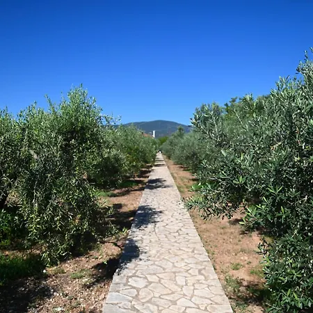 Βίλα Of Luxury And Serenity Κιβέρι