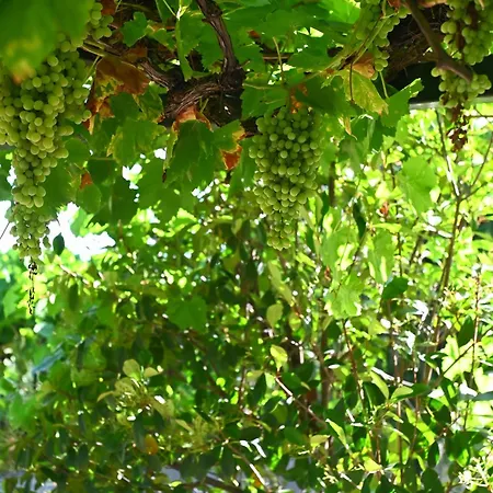 Of Luxury And Serenity Κιβέρι