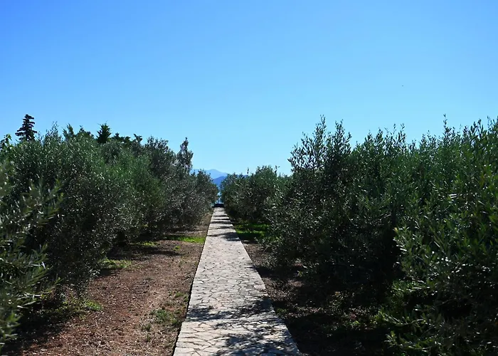 Of Luxury And Serenity