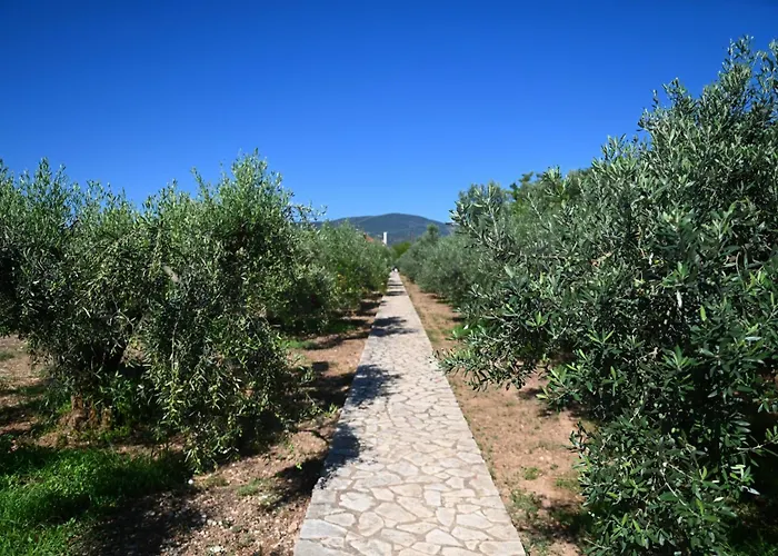 Villa Of Luxury And Serenity Kivéri