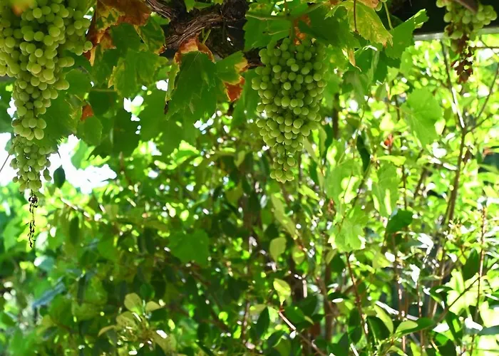 Of Luxury And Serenity Kivérion