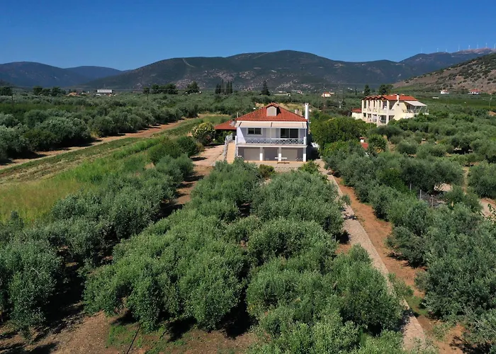 Of Luxury And Serenity *